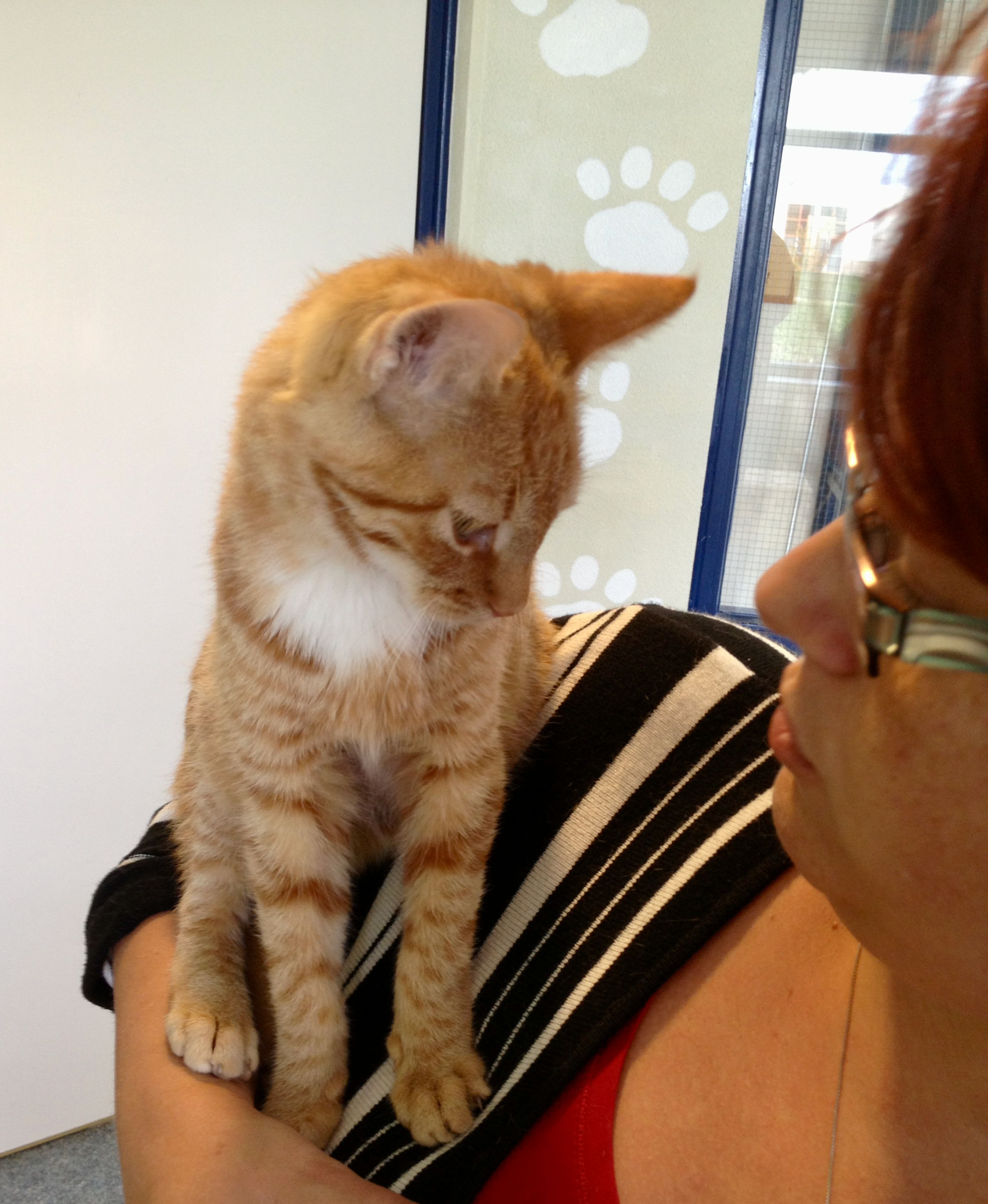 Balthazar when we met in Helmond